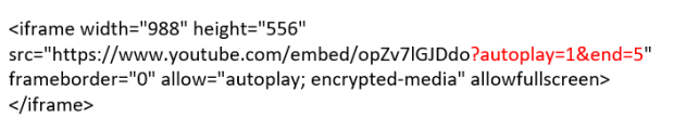 youtube embed text well woman autoplay and stop